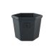  день ограничение 07 Hachiman .. eko pot шесть прямоугольник 200 BK 214991 садоводство садоводство сопутствующие товары цветочный горшок цветок pot eko pot горшок 