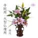 ��^���� ���� ���p ���@�p ���� ����49cm ���� ���Зp ���� �A�[�e�B�t�B�V�����t�����[�y���@�p�s���N�����[�z�V���N�t�����[ �P�� �������� 2����