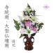 ��^���� ���� ���p ���@�p ���� ���� ����50cm ���� �A�[�e�B�t�B�V�����t�����[�y���@�p�z���C�g�����[�z�V���N�t�����[ �P�� �������� ���Зp 2����