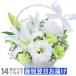 �y�b�g�̂����݁E�������t�����[�A�����W�����g �ԃL���[�s�b�g ���b�Z�[�W�J�[�h���� 512689 ���� ��z ��