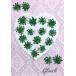 [ pursuit possibility talent flight . delivery ] compact pressed flower Heartfull race flower ( coloring green )18 sheets . pack . do delivery! pressed flower hand made 