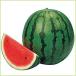  предварительный заказ распродажа запад .( арбуз )... рассада ( контактный дерево рассада )