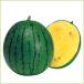  предварительный заказ распродажа запад .( арбуз ) новый .... рассада ( контактный дерево рассада )