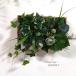 * ivy . зеленый. роза * искусственная зелень. box организовать. орнамент * интерьер lease орнамент искусственный цветок цветок клуб подарок 