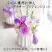���� �v���U�[�u�h�t�����[ ������ �� ���~ �V�~ �N���A�P�[�X���� ���� �~�j���d�p ���d�p �ފ� �@�� ���� �~�j���Ԃ���