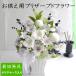 �v���U�[�u�h�t�����[ ���� ������ �� �� ������� ���~ �V�~ �l�\��� �@�v ���� ���d�p �A�����W�����g �͂�Ȃ��� ���ؔ��n��������