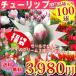 チューリップ ミックス100球アイスクリーム3球プレゼント!!新春福袋