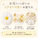 Hanamei �o�[�X�f�[�f�R���[�V�����Z�b�g �f�C�W�[ �a���� �o���[�� ����t�� �ȒP ���̎q �o���[���K�[�����h �K�[�����h ��l ���D �؍� �֘A�摜2