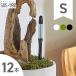 �J���[�I�ׂ�I �����`�F�b�J�[ sustee �i�T�X�e�B�[�j S�T�C�Y 12�{�Z�b�g �y���[���֑��������z �����v 1�_�[�X