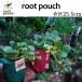 root pouch ( roots сумка ) диаметр 25.5cm [ почтовая доставка бесплатная доставка ] держать рука. добавленный нетканый материал pot можно выбрать 4 цвет #3