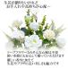 �\�[�v�t�����[ ���� ���~ ���~ �@�� �@�v �ފ� �������� �A�����W�����g �͂�Ȃ� �֘A�摜3
