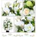 �\�[�v�t�����[ ���� ���~ ���~ �@�� �@�v �ފ� �������� �A�����W�����g �͂�Ȃ� �֘A�摜5