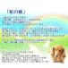 �\�[�v�t�����[ �y�b�g�p ������݉� ���蕨 ���C���{�[���[�Y �o���[�� �M�t�g ������ ���� �L ������ ���� ���� �l�\��� ���~ ���~ �@�� ���{ �@�v ���ފ� �֘A�摜4