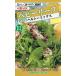  овощи. вид месклун здоровый Mix lettuce превосходный рассылка. зажим post .10 пакет до стоимость доставки 150 иен маленький лист тысяч . столица мизуна шпинат комацуна снег белый body . крепдешин горчица Karashi .