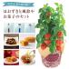 �ق����� ���A�� �z�I�Y�L �ق������s ���~ �� �c ���� �Ԕ� �t�����[�M�t�g ���� �a���� �� �v���[���g ������ ���~ �ق��������A�� �Ԃ̃M�t�g��