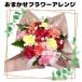 ��̓����� 2026�� �������� �J�[�l�[�V���� �t�����[�M�t�g �v���[���g �a���� ���� �{�̂��܂����A�����W�����g