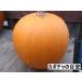  Halloween Jack o- фонарь для тыква средний шар вид M 2kg