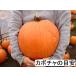  Halloween Jack o- фонарь для тыква средний шар вид LL 6kg