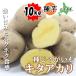  вид картофель kita красный li10kg Hokkaido производство клубень размер :S~2L вид jagaimo лошадь колокольчик . семенной клубень огород весна .. весна ... цветок. Yamato 