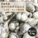 [ земля имеется вид луковица чеснок Aomori Fukuchi белый 6 одна сторона примерно 3kg ] земля . корень имеется размер нет выбор другой S~L размер и kake одна сторона содержит 