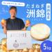  sphere leek Awaji Island [ blue .]5kg..(.....) onion tama welsh onion oni on onion Awaji Island production [ free shipping ]