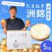  шар лук порей Awaji Island [ синий .]5kg..(.....) лук репчатый tama лук-батун oni on onion Awaji Island производство [ бесплатная доставка ]