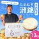  sphere leek Awaji Island [ blue .]10kg..(.....) onion tama welsh onion oni on onion Awaji Island production [ free shipping ]
