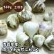 [ земля имеется вид луковица чеснок Aomori Fukuchi белый 6 одна сторона примерно 500g ] земля . корень имеется размер нет выбор другой S~L размер и kake одна сторона содержит 