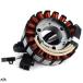 ���s�A���i 5ML-H1410-02 �o�C�N Stator C�I�C�� ���}�n XC125SR Cygnus X SR FI 2008�N 2009�N 2010�N 2011�N 2012�N �J�X�^�� �p�[�c