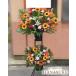 �y�Č���I8/31�܂Łz�y�J���t�����܂����̂݁z���ԉ����񂩂��n���͂��@�Ђ܂�����X�^���h�� 2�i�@20000�~ �֘A�摜3