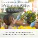 ������ �n���M���O�o�X�P�b�g �񂹐A�� [�g���j�A��] M�T�C�Y | ���� �t�����[�M�t�g �a���� �v���[���g ���� �� �� �����L�O�� ������� �V�z�j�� �� �H ���A�� �֘A�摜2
