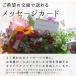 ������ �n���M���O�o�X�P�b�g �񂹐A�� [�g���j�A��] M�T�C�Y | ���� �t�����[�M�t�g �a���� �v���[���g ���� �� �� �����L�O�� ������� �V�z�j�� �� �H ���A�� �֘A�摜4