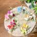  dry flower Mini bouquet 1000 jpy .... bouquet swag stylish ornament interior lovely flower gift present marriage festival . new building festival .