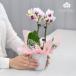 �Ӓ��� ���Q���߂̏ꍇ����@�J����L�i�~�j�~�f�B�j 2�{���� ���b�s���O�A�J�[�h�����I���� �M�t�g �a���� �v���[���g �J�X�j��  ���j�� ��������KG �֘A�摜5
