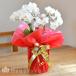 �Ӓ���  ���Q���߂̏ꍇ����@�J����L�i�~�j�~�f�B�j 4�{���� ���b�s���O�A�J�[�h���� �M�t�g �a���� �v���[���g ���蕨 �J�X�j��  ���j�� ������ �t�����[��KG �֘A�摜5