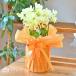 �Ӓ��� ���Q���߂̏ꍇ����@�J����L�i�~�j�~�f�B�j 6�{���� ���b�s���O�A�J�[�h�t�� ���� �M�t�g �a���� �v���[���g �J�X�j��  ���j�� ������ ��̓���KG �֘A�摜3