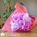 �Ӓ����@�ԑ��@�J�����i�~�j�~�f�B�j10�{�� �a���� �v���[���g �؉� ���ԁy�c�Ɠ���12�����̒����œ����o�ׁz�E�G�f�B���O ������ ������ �֘A�摜5