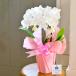 �Ӓ��� �~�f�B 2�{���� ���b�s���O�����A�D�����I ���j�� �� �v���[���g �J�@ �J�X �J�� �j�� �a���� ������ �t�����[�M�t�g �֘A�摜2