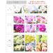 �Ӓ��� �~�f�B 3�{�����@���b�s���O�A�D�����I �ʐ^�z�M���� �M�t�g �v���[���g ���j�� ��  ���� ���j�� �J�@ �J�X �J�� �a���� �h�V�̓� �֘A�摜1