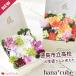�����s�����Z�̐��k����ƍl���� �{�b�N�X�t�����[ �A�����W�����g ���� hana cube x IRP ���X�t�����[ ���Ȃ������� �� �a���� �M�t�g