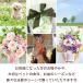 ������ ������� �v���U�[�u�h�t�����[ ���� ���~ �� 49�� �@�v ����� ���� �@�� ���蕨 ���d�p �u���U�[�h �������p �A�����W�����g Priere �v���G�[��-�F�� �֘A�摜1