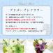 ������ ������� �v���U�[�u�h�t�����[ ���� ���~ �� 49�� �@�v ����� ���� �@�� ���d�p ���蕨 �u���U�[�h �������p �A�����W�����g �|�����X �֘A�摜2