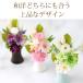 ������ ������� �v���U�[�u�h�t�����[ ���� ���~ �� 49�� �@�v ����� ���� �@�� ���d�p ���蕨 �u���U�[�h �������p �A�����W�����g �|�����X �֘A�摜4