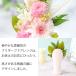 ������ ������� �v���U�[�u�h�t�����[ ���� ���~ �� 49�� �@�v ����� ���� �@�� ���d�p ���蕨 �u���U�[�h �������p �A�����W�����g �|�����X �֘A�摜5