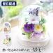 . flower preserved flower ... dome . flower clear dome family Buddhist altar for .... flower present memorial service one .. life day . middle see Mai .. flower Blizzard flower 