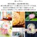 ������ ������ �v���U�[�u�h�t�����[ ���� �K���X�h�[�� ���~ �� 49�� �@�v ����� ���� �@�� ���� ���蕨 �u���U�[�h ���d�p �������h�[�� �z�� �W�j�A �֘A�摜1