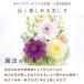 ������ ������ �v���U�[�u�h�t�����[ ���� �K���X�h�[�� ���~ �� 49�� �@�v ����� ���� �@�� ���� ���蕨 �u���U�[�h ���d�p �������h�[�� �z�� �W�j�A �֘A�摜4