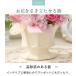 �v���U�[�u�h�t�����[ Colore �R���[�� �P�[�X���� �� ��̓� �a���� �v���[���g ���� �� �ސE�j�� �җ�j�� ��� ���j�� �����j�� �M�t�g �u���U�[�h�t�����[ �֘A�摜5