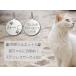 [ with translation outlet ] identification tag pad Silhouette go in cat cat Chan for ultimate small type nameplate stainless steel Circle SS