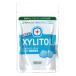 уход за полостью рта (Oral Care) xylitol 100% жевательная резинка пакет ввод прозрачный мята рукоятка z